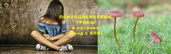 spice Бугульма