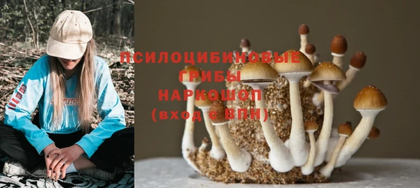 spice Бугульма
