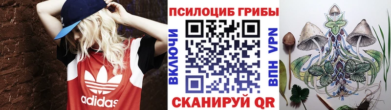 Псилоцибиновые грибы прущие грибы  Киреевск 